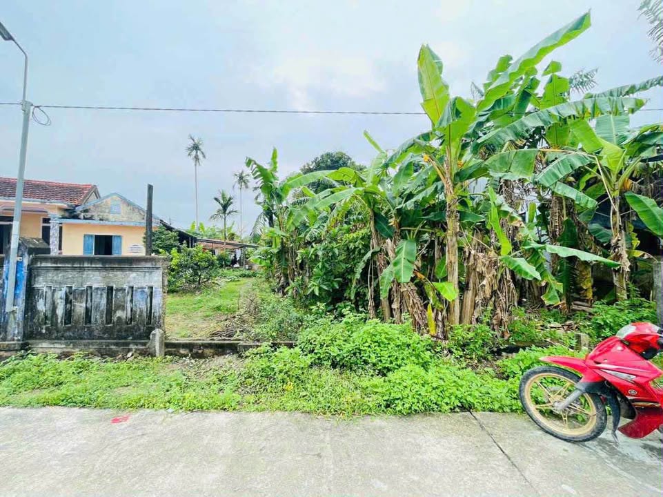 Đất nền Thị trấn Sịa, Quảng Điền, 150m² giá 700 triệu - VIEW cánh đồng mát mẻ!