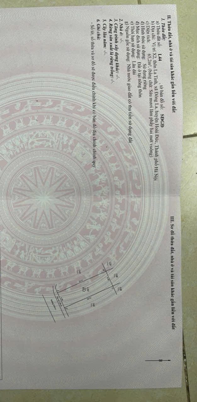 Đất đấu giá 65,2m² tại La Tinh, Hoài Đức - Bán gấp chỉ 10.432 tỷ!