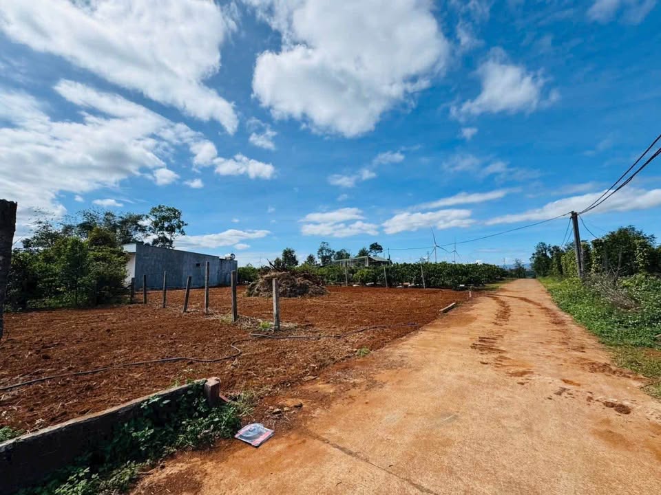 Đất thổ cư Diên Phú 450m² giá 1.299 tỷ - Đầu tư sinh lời hấp dẫn!