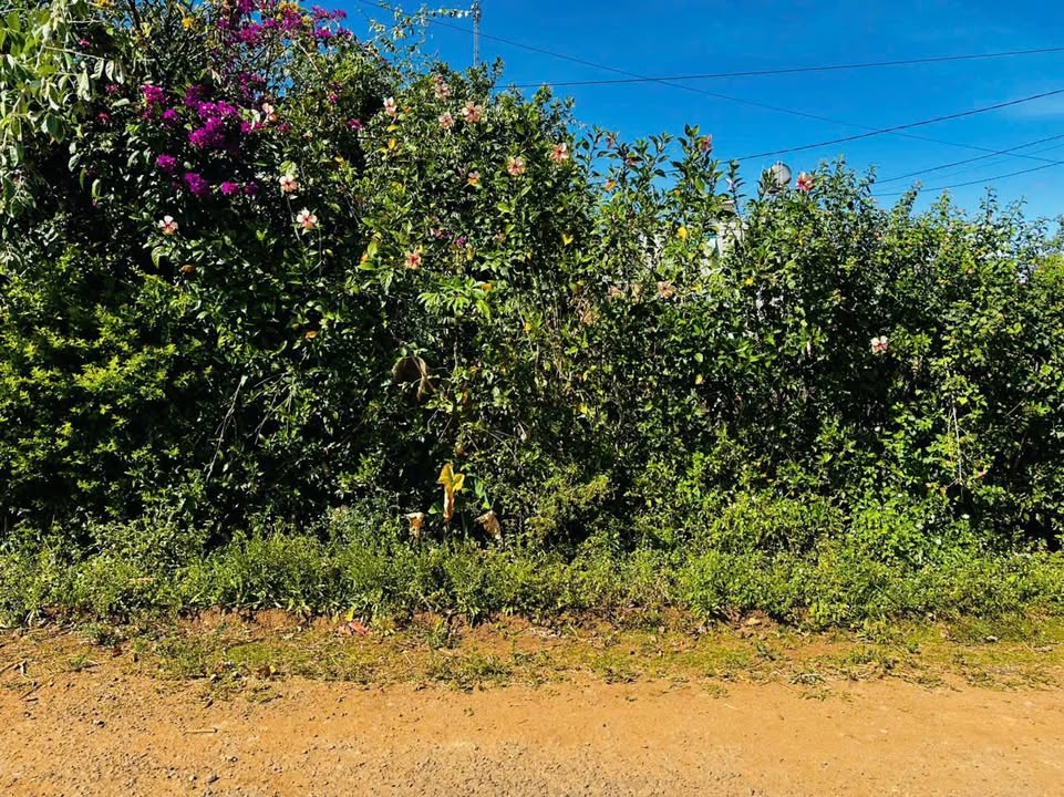 Đất thổ cư Hẻm 32 Chính Kỳ Con - Phường Yên Thế 138m² giá 1.05 tỷ - Đường rộng, dân cư đông đúc!