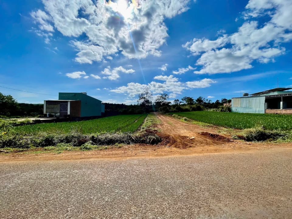 Đất thổ cư 200m² mặt tiền Nguyễn Siêu - Phù hợp làm biệt thự, nhà vườn!