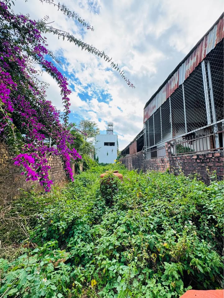 Đất hẻm 32 Lạc Long Quân, Pleiku 140m² giá 1.4 tỷ - Sổ đỏ chính chủ!