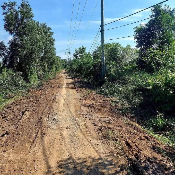 Đất thổ cư Tân Phước 150m² giá chỉ 160 triệu - Sổ hồng riêng, đầu tư sinh lời!