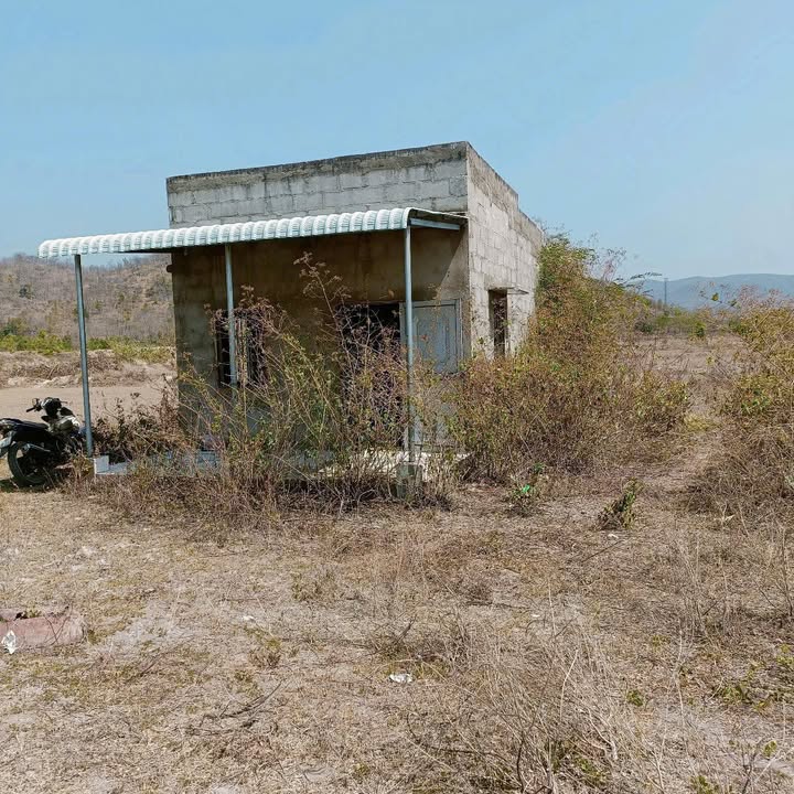 Lô đất nông nghiệp 1.5ha tại Hàm Phú, Hàm Thuận Bắc - Sổ đỏ chính chủ giá 650 triệu