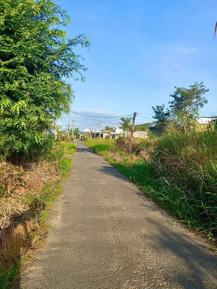 Đất thổ cư 240m² - Xã Hàm Cường, Bình Thuận - Giá chỉ 840 triệu!