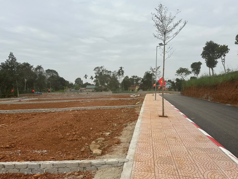 Đất nền Thọ Tân Triệu Sơn 164m² giá chỉ 300 triệu - Cơ hội đầu tư hiếm có!