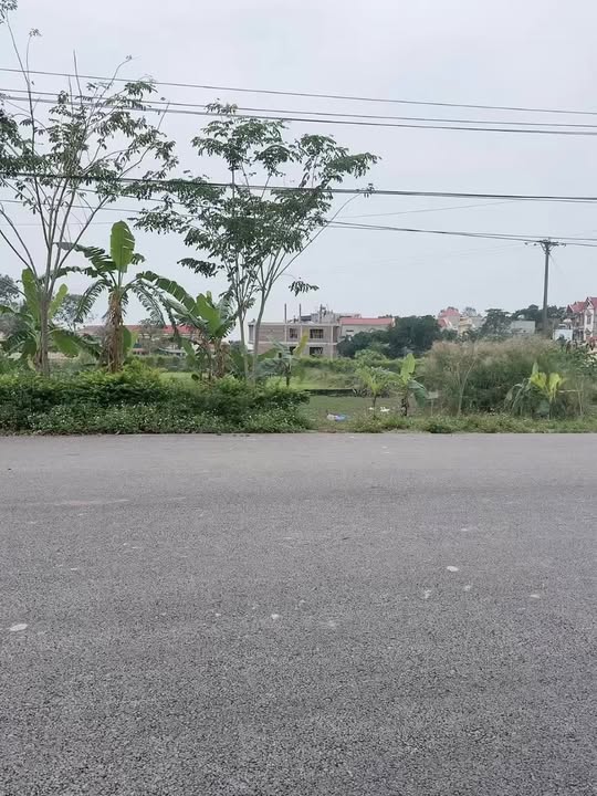 Lô đất 150m² tại xã Xuân Lộc, Triệu Sơn - Tiềm năng kinh doanh vượt trội!