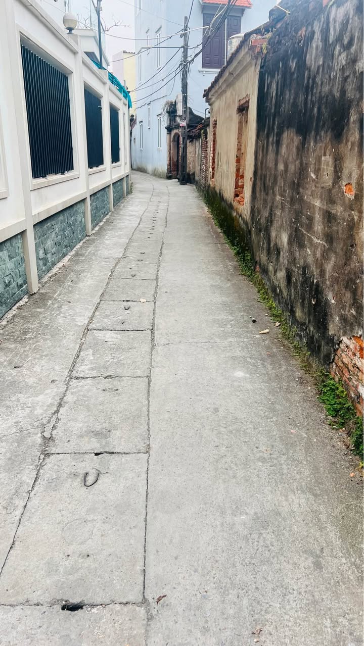 Đất thổ cư 42m² tại Tân Tiến, Văn Giang, Hưng Yên - Giá chỉ 1 tỷ, cơ hội đầu tư tuyệt vời!