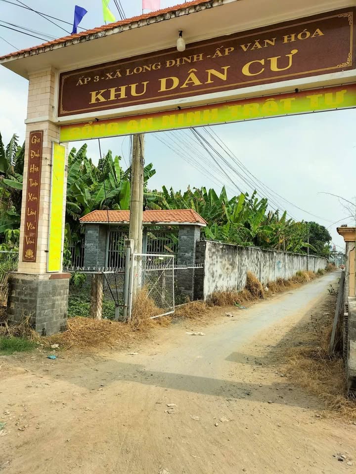 Đất KDC Phúc Giang Long Định, Cần Đước, 88m² giá 1.15 tỷ - Sổ hồng chính chủ!