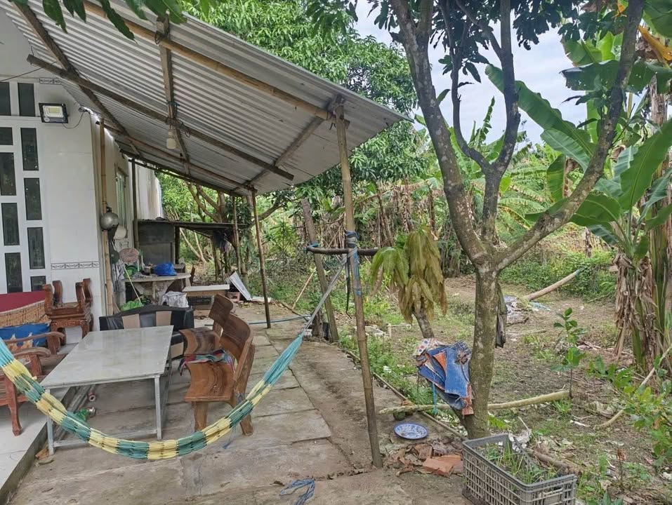 Đất vườn 700m² tại phường Mỹ Thới, Long Xuyên - Giá chỉ 2 tỷ, sổ hồng chính chủ!