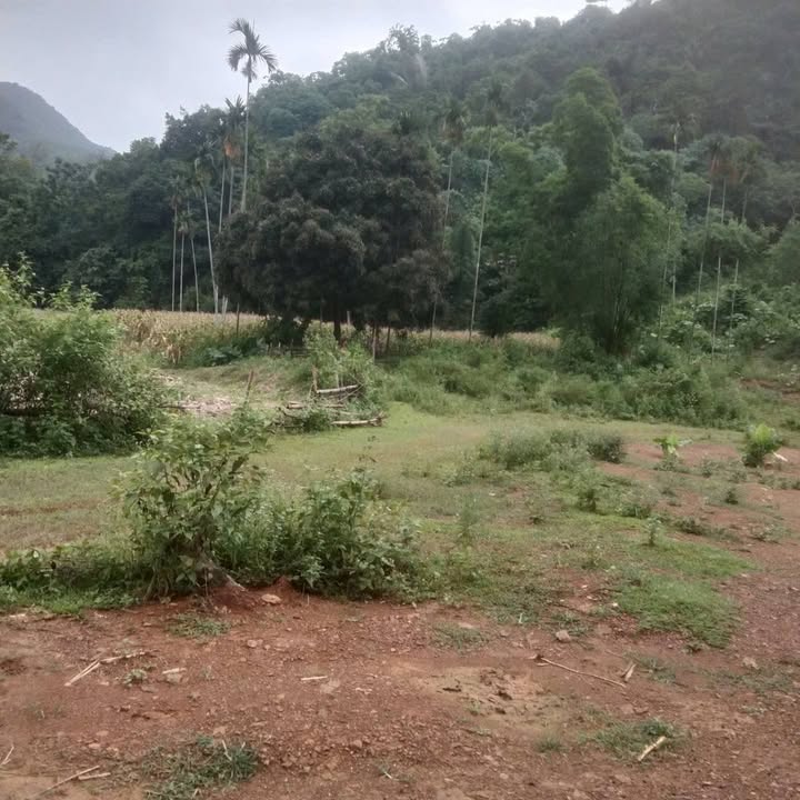 Đất nền Thanh Sơn Lương Sơn 3000m² giá chỉ 2 tỷ - Cơ hội đầu tư tuyệt vời!