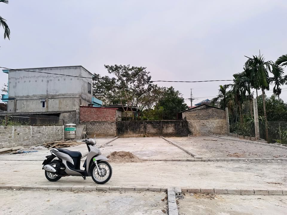 Đất nền Đồng Tâm, Phúc Sơn 80m² giá 1 tỷ - Cơ hội đầu tư hấp dẫn!