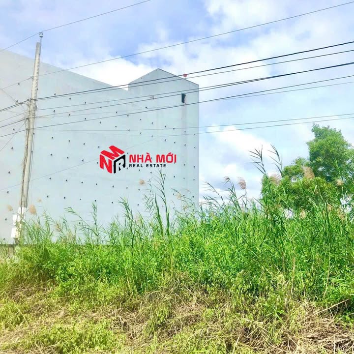 Đất nhà vườn Ấp Sở Tại, Cái Nước 3000m² giá 3.6 tỷ - View sông, không khí trong lành!