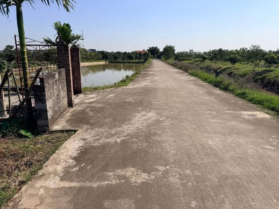 Đất Farm 28.000m² xã Phan Sào Nam, huyện Phù Cừ chỉ 4 tỷ - Đầu tư sinh lời ngay!