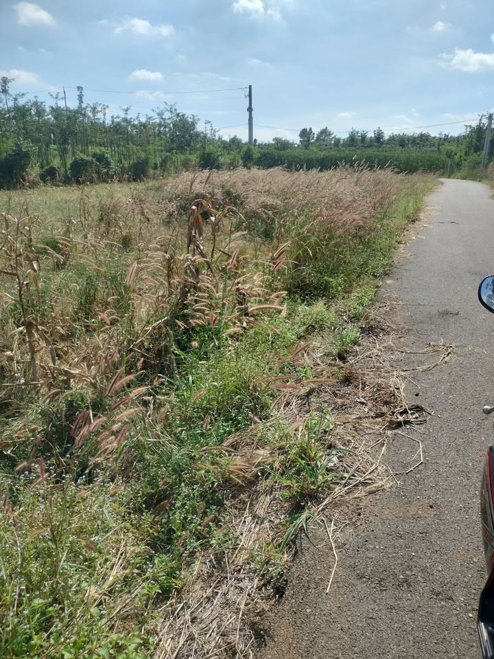 Đất nền xã Xuân Sơn, huyện Châu Đức 2000m² giá 1.4 tỷ - Sổ đỏ chính chủ