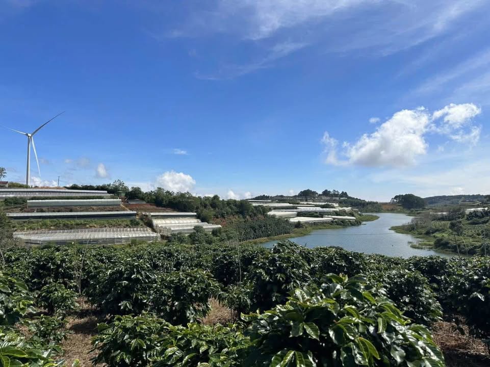 Đất nền 3036m² phường Xuân Trường, Đà Lạt - Đầu tư sinh lời tuyệt vời!