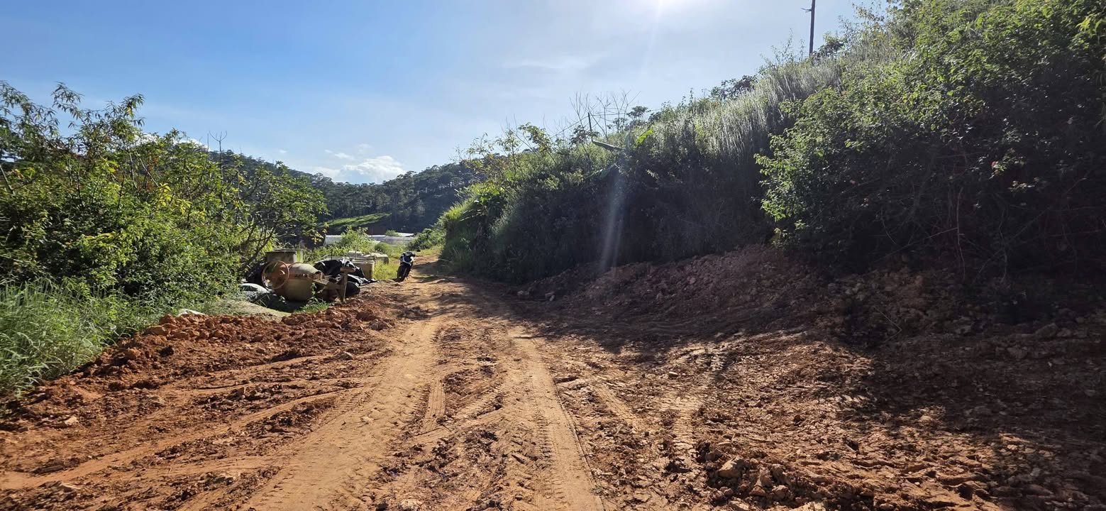 Đất nền 1000m² xã Xuân Thọ, Đà Lạt giá chỉ 600 triệu - Khí hậu mát mẻ quanh năm!