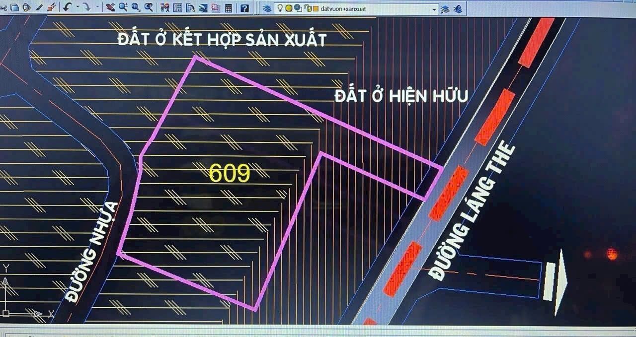 Đất thổ cư Tân Thạnh Tây - Củ Chi 4200m² - Đầu tư sinh lời tiềm năng!