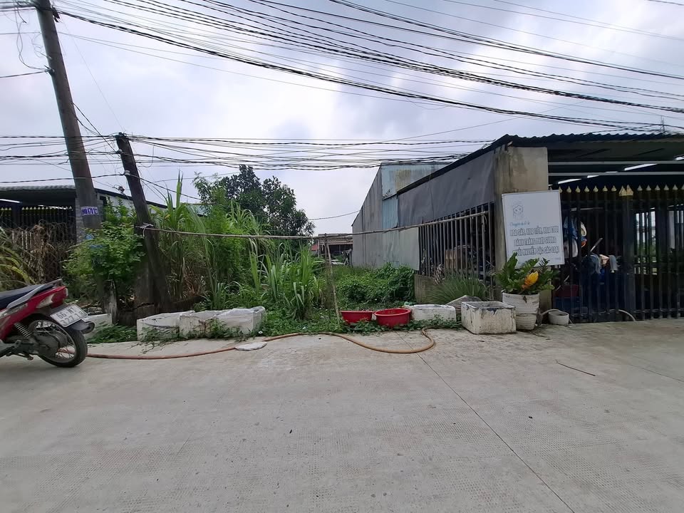 Đất nền ấp Bình Tả, Đức Hòa Hạ 175m² giá 1.5 tỷ - Cơ hội đầu tư tuyệt vời!