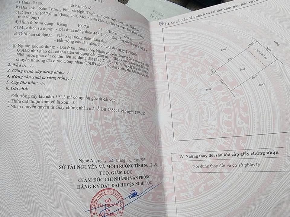 Đất Nghi Trường Nghi Lộc 1037m² - Đường rộng 10m, Chính chủ bán gấp!