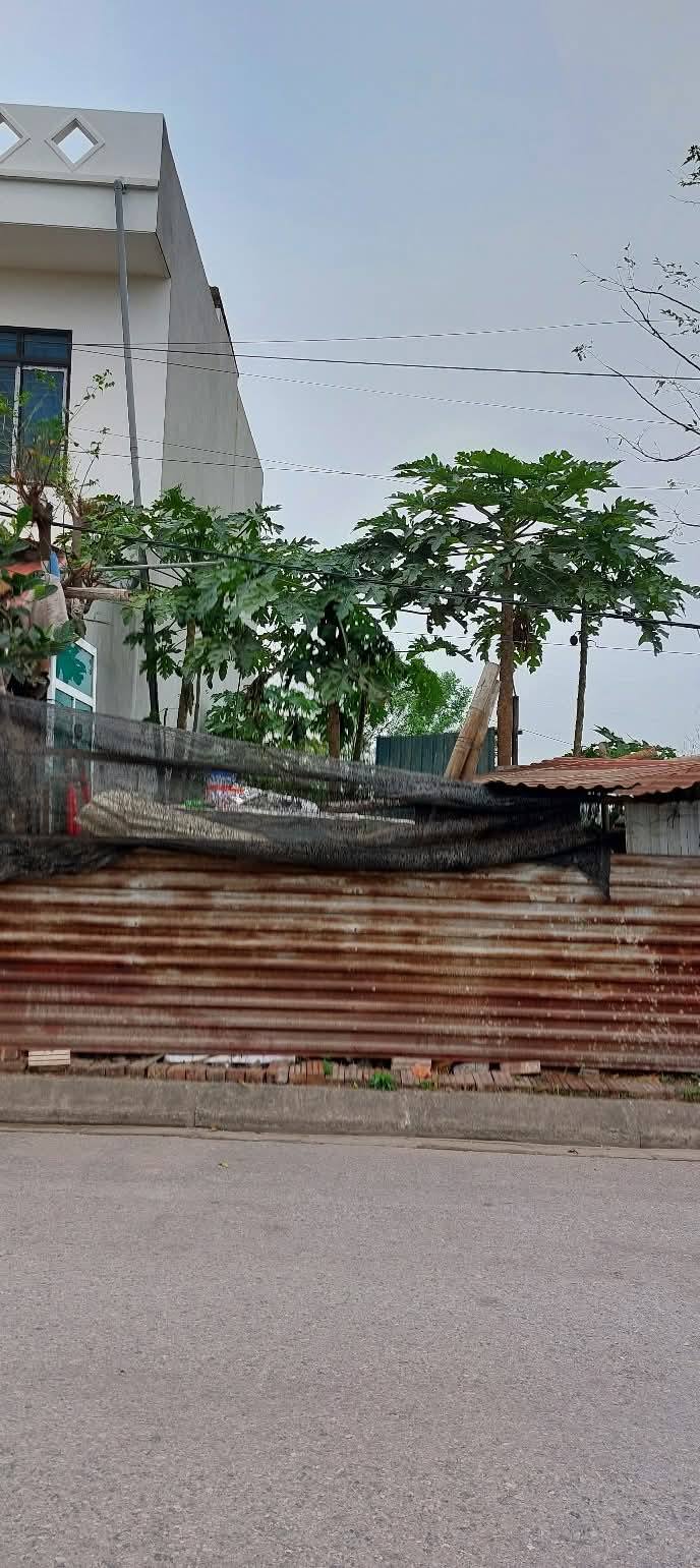 Bán đất mặt phố Cầu Đồng, phường Việt Hòa, 82.5m² - Đầu tư sinh lời hấp dẫn!