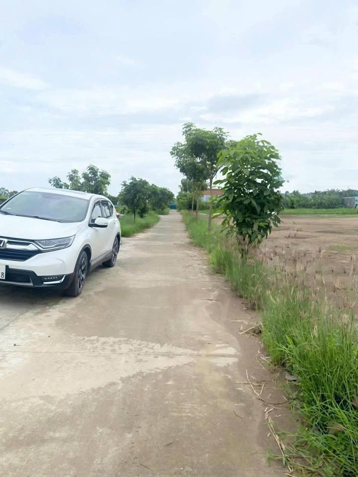 Đất nền thổ cư Hướng Thọ Phú, Tân An 160m² giá 960 triệu - Đường ô tô thông thoáng!