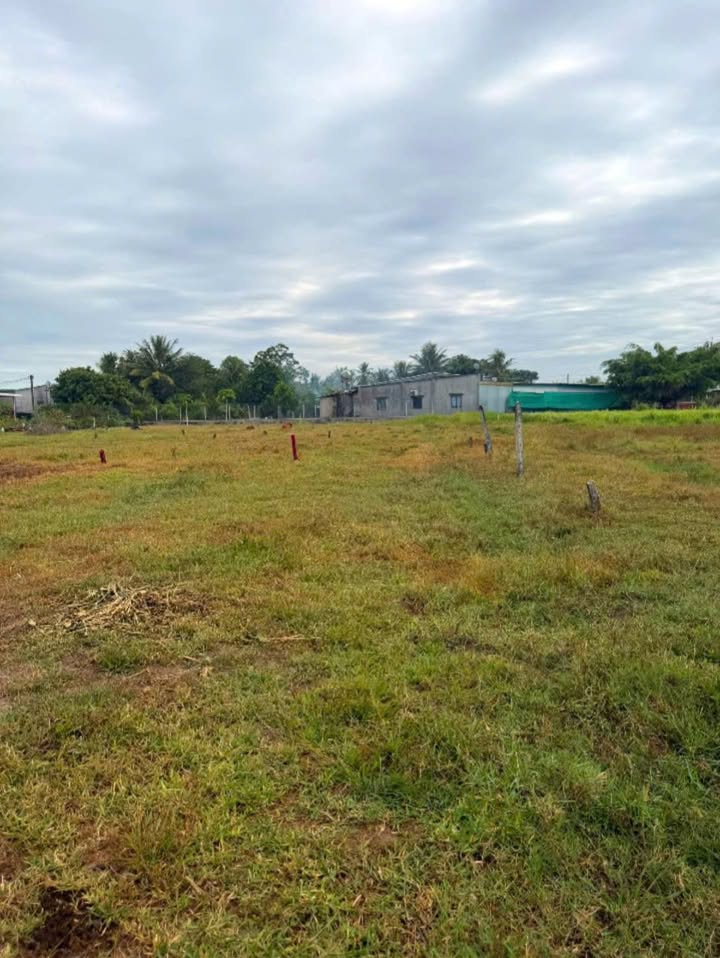 Đất thổ cư Gò Dầu Tây Ninh 110m² giá chỉ 450 triệu - Cơ hội đầu tư tuyệt vời!