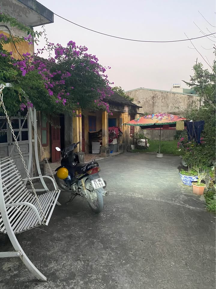 Đất nền Bích Đào, Hoa Lư 46m² chỉ 1 tỷ - Sổ đỏ chính chủ, đầu tư sinh lời!