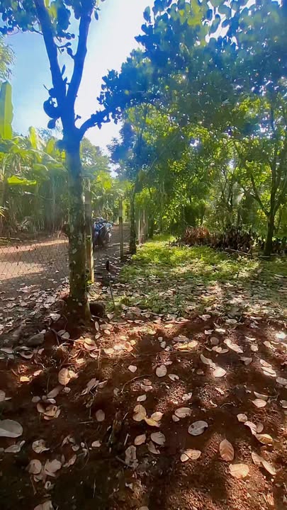 Đất nền Bảo Vinh, Long Khánh 700m² giá 1.35 tỷ - Sổ đỏ chính chủ, pháp lý rõ ràng!