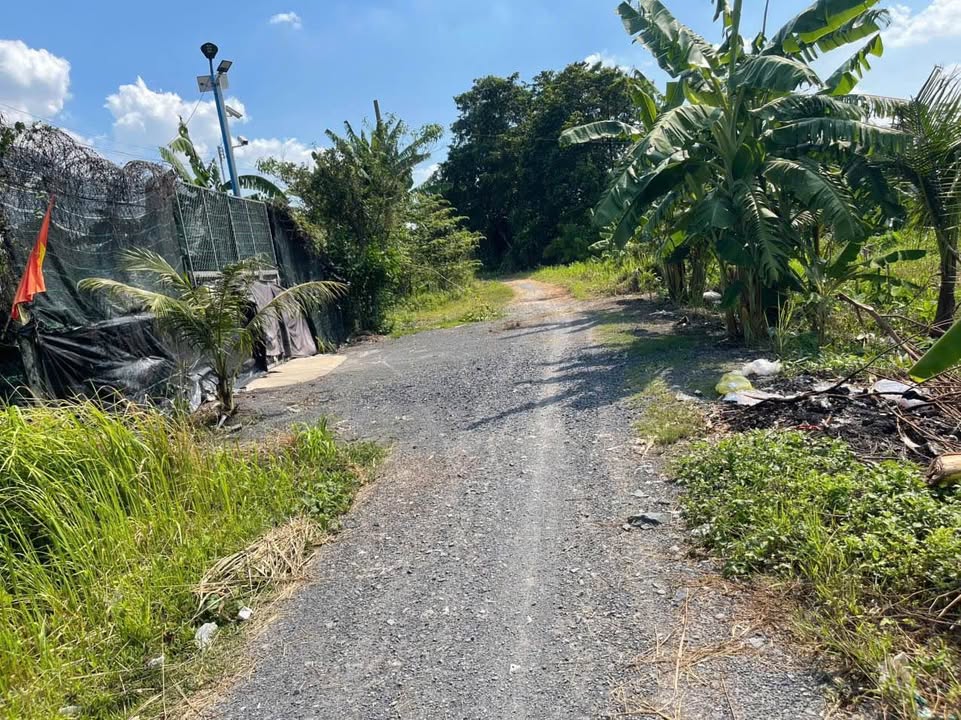 Bán đất mặt tiền Rạch Dứa, Bình Mỹ, Củ Chi 667m² - Giảm giá sốc chỉ còn 3.9 tỷ!