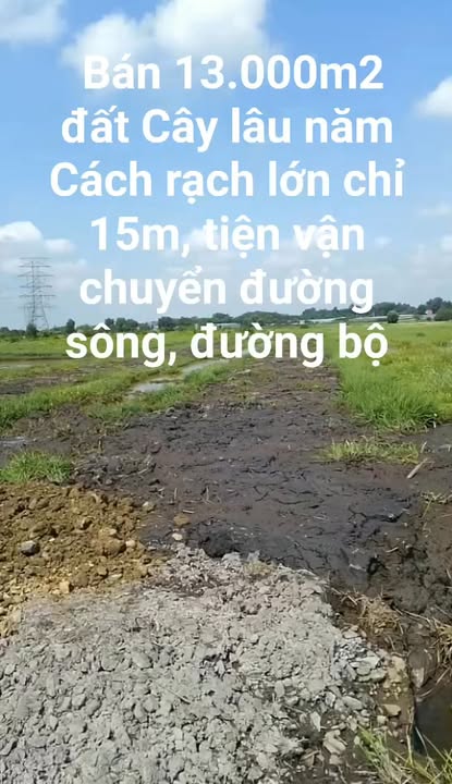 Đất nền Phú Hòa Đông Củ Chi 1,3ha giá chỉ 2,259 tỷ - Cơ hội đầu tư sinh lời!