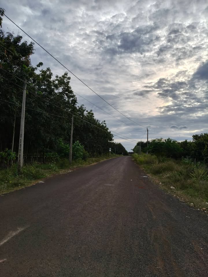 Đất nền Phước Bình 20,000m² giá 6 tỷ - Cơ hội đầu tư hấp dẫn!