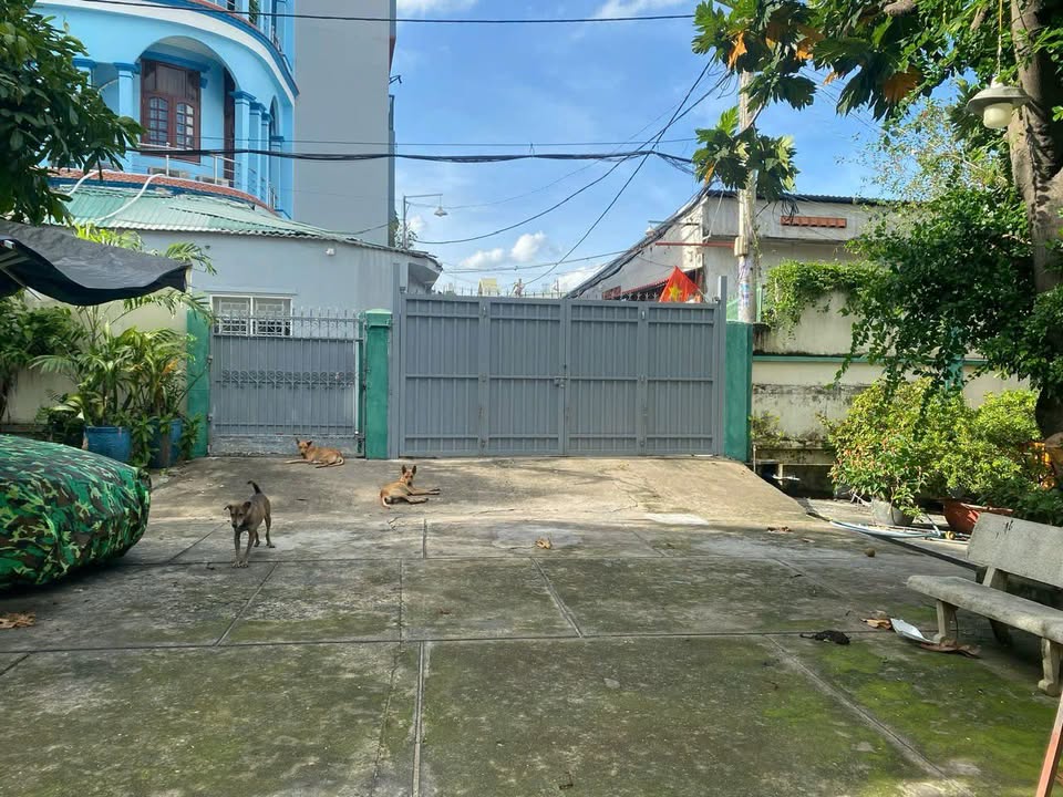 Đất phân lô 1080m² đường Đông Hưng Thuận, quận 12 - Cơ hội đầu tư tuyệt vời!