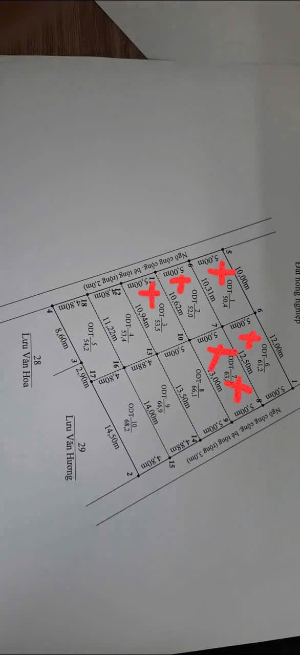 Đất nền Đồ Sơn - Hải Phòng 50m² giá chỉ 800 triệu - Sổ đỏ chính chủ