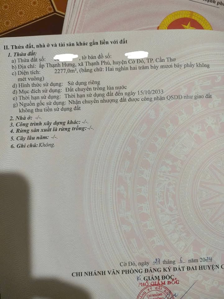 Đất nghỉ dưỡng Cần Thơ 2277m² giá chỉ 2.05 tỷ - Pháp lý rõ ràng