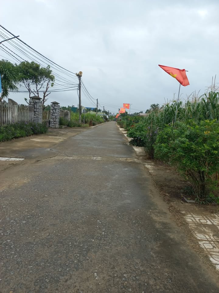 Đất nền mặt tiền thôn Tiên Đào, Bình Sơn 115m² giá 600 triệu - Cơ hội đầu tư hấp dẫn!