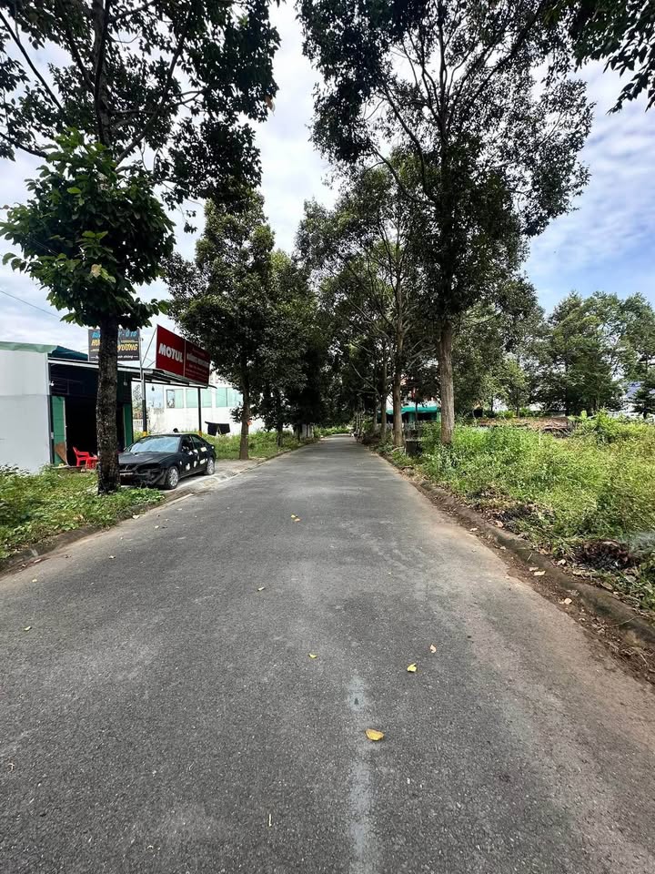 Đất thổ cư KDC Đại Dương, Phường 6, Tân An 100m² giá 2.9 tỷ - Cơ hội đầu tư hấp dẫn!