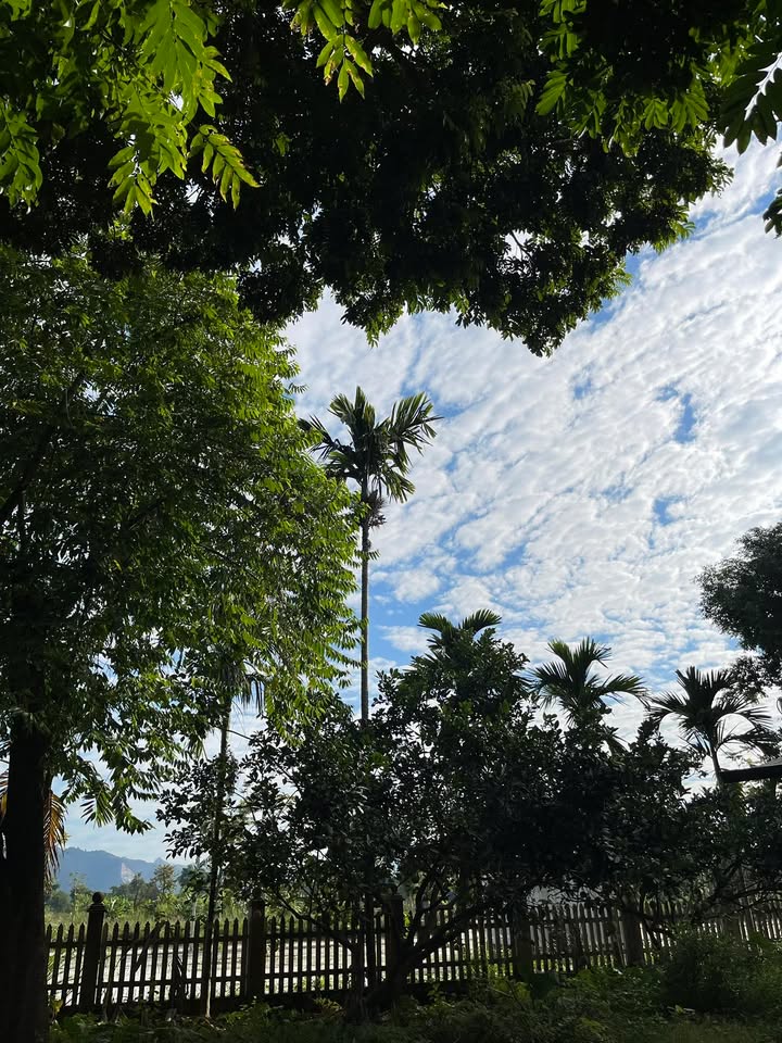 Đất thổ cư Tuyên Quang 105m² giá 800 triệu - Cơ hội đầu tư sinh lời cao!