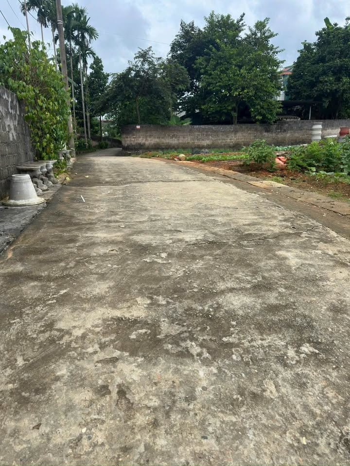 Đất Kim Phú, Yên Sơn 90m² giá 700 triệu - Vị trí thuận lợi gần chợ Giếng Tanh!