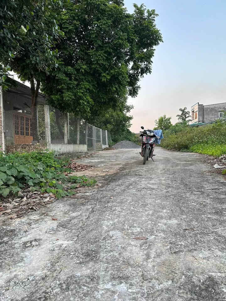 Đất nền An Tường Tuyên Quang 300m² giá 1 tỷ - Chính chủ bán gấp!