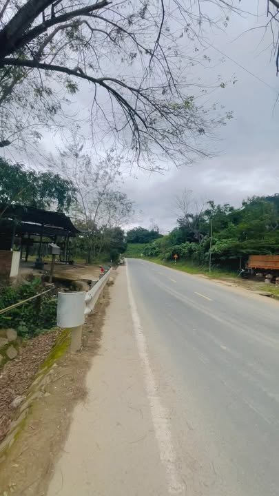 Quán cho thuê mặt tiền Quốc Lộ 14, Cà Dy 2000m² - Cơ hội kinh doanh tuyệt vời!