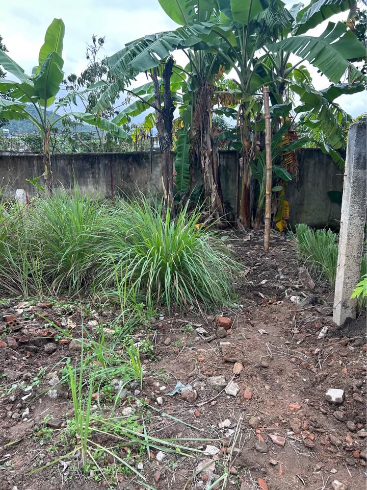 Đất hẻm Lư Giang, Nha Trang 60m² giá 650 triệu - Pháp lý rõ ràng, xây nhà ở ngay!