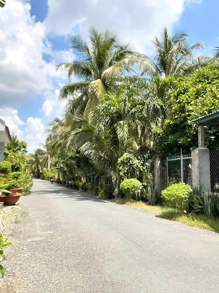 Nhà cho thuê mặt tiền đường An Lạc B, Lương Hoà Lạc 180m² - Giá chỉ 3 triệu/tháng!