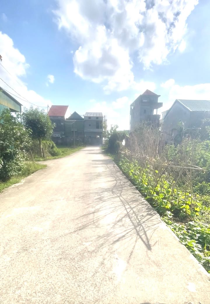 Nhà riêng Nam Giang, Nghệ An 117m² giá 2 tỷ - Vị trí đẹp, tiềm năng đầu tư!