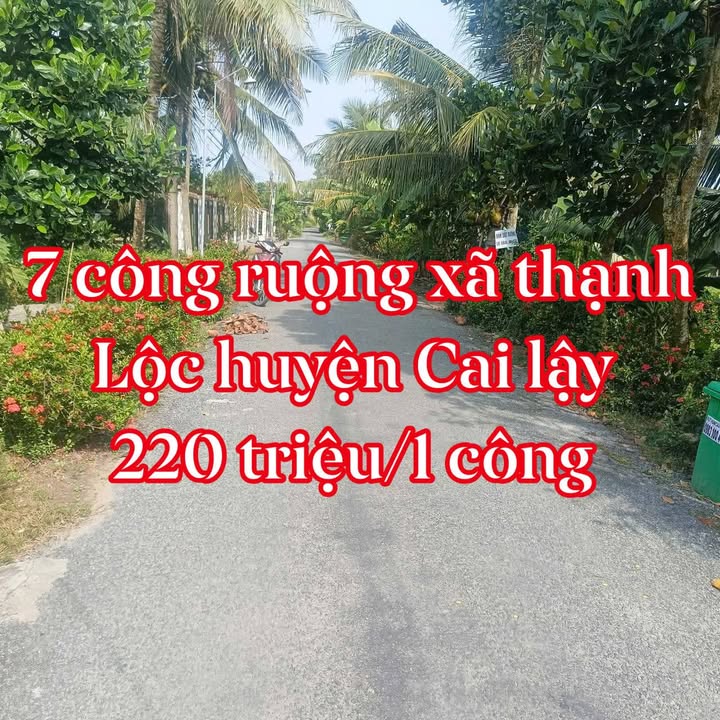 Đất nền ấp 4 xã Thạnh Lộc huyện Cai Lậy 7000m² giá 2.2 tỷ - Cơ hội đầu tư hấp dẫn!