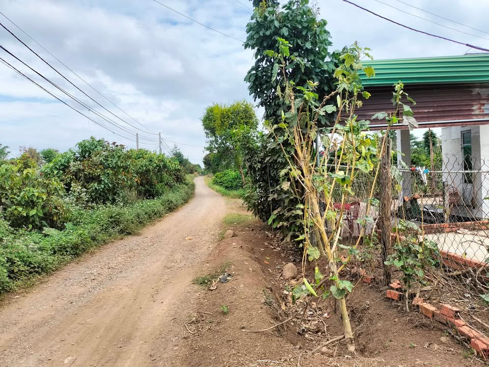 Đất 6.000m² tại xã Ea M'nang, Cư M'gar - Giá chỉ 600 triệu!