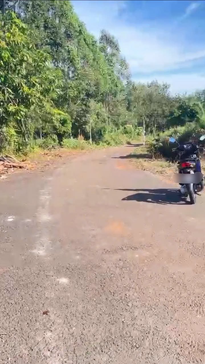 Đất nền Tiến Thành Đồng Xoài 16.000m² giá 1.2 tỷ - Cơ hội đầu tư hiếm có!