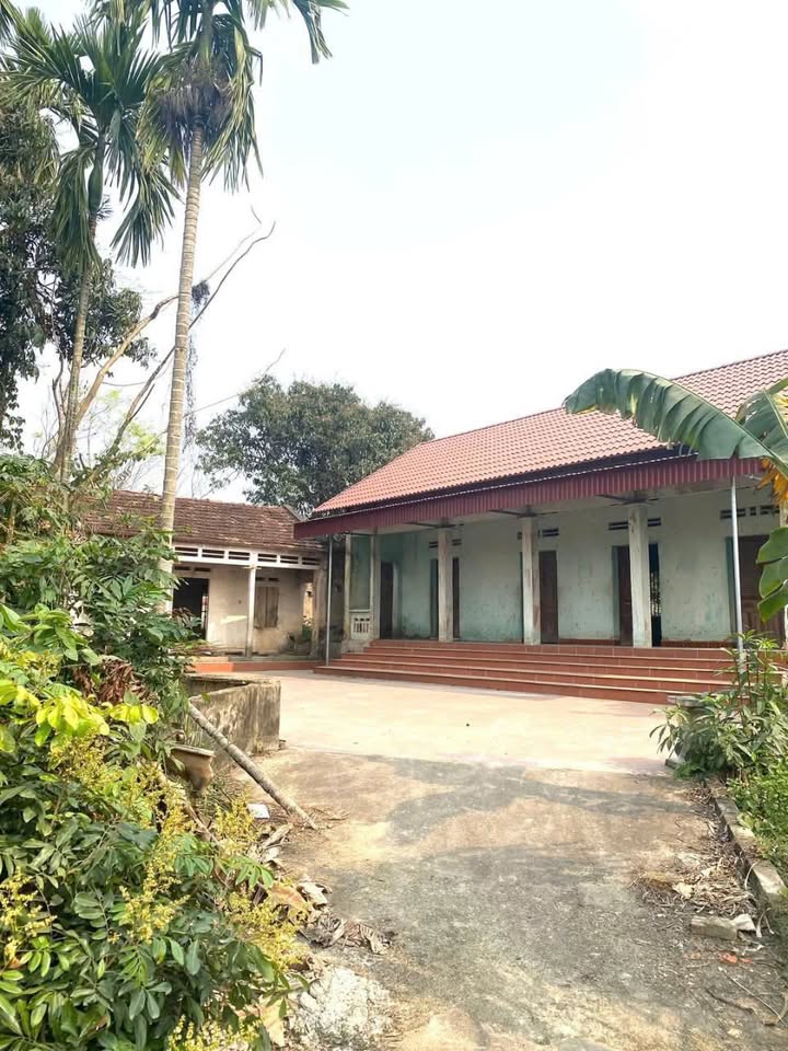 Đất nền Đạo Tú, Tam Dương 6.300m² giá 12.6 tỷ - Đầu tư lý tưởng cho trang trại và nghỉ dưỡng!