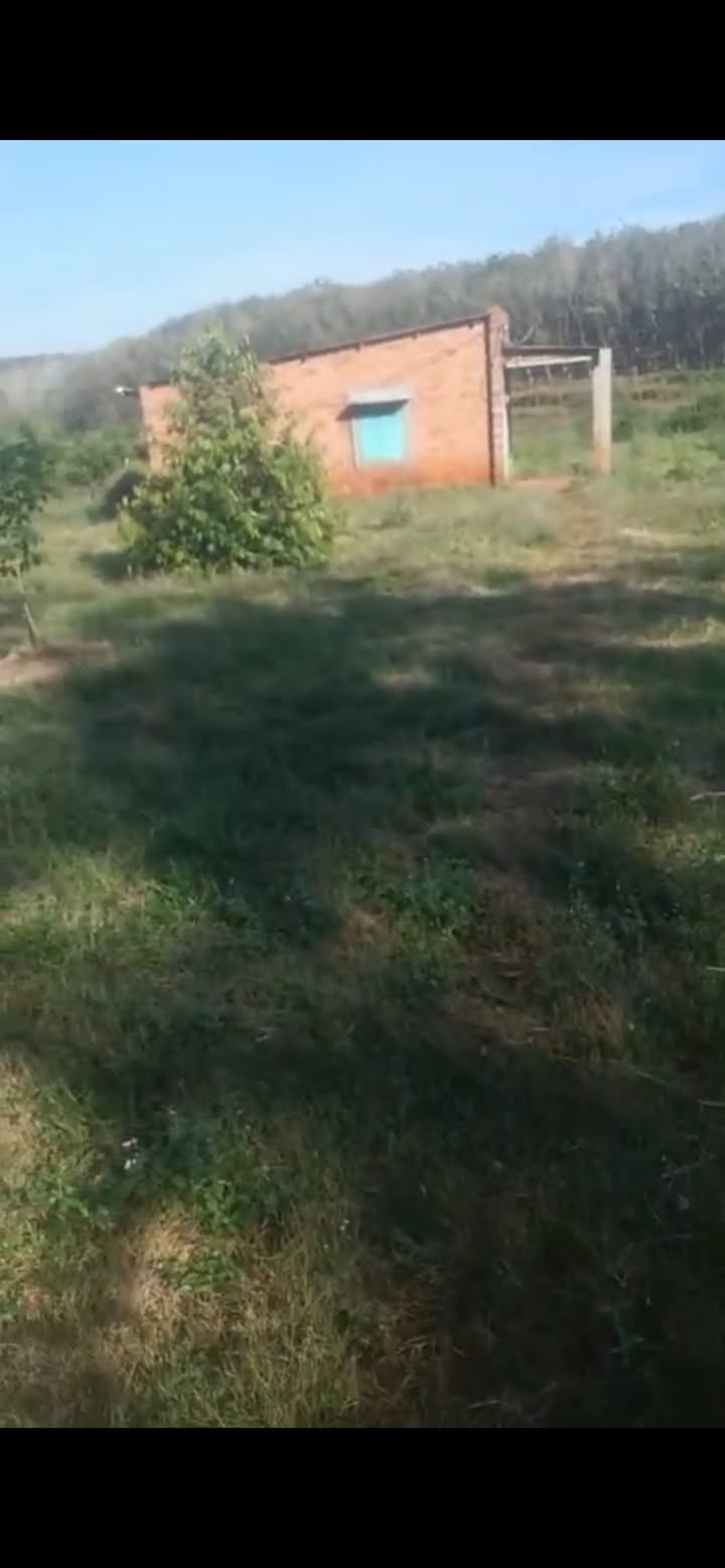 Đất vườn 1,6ha tại Hớn Quản, Bình Phước - Giá 2,8 tỷ - Cơ hội đầu tư sinh lời!