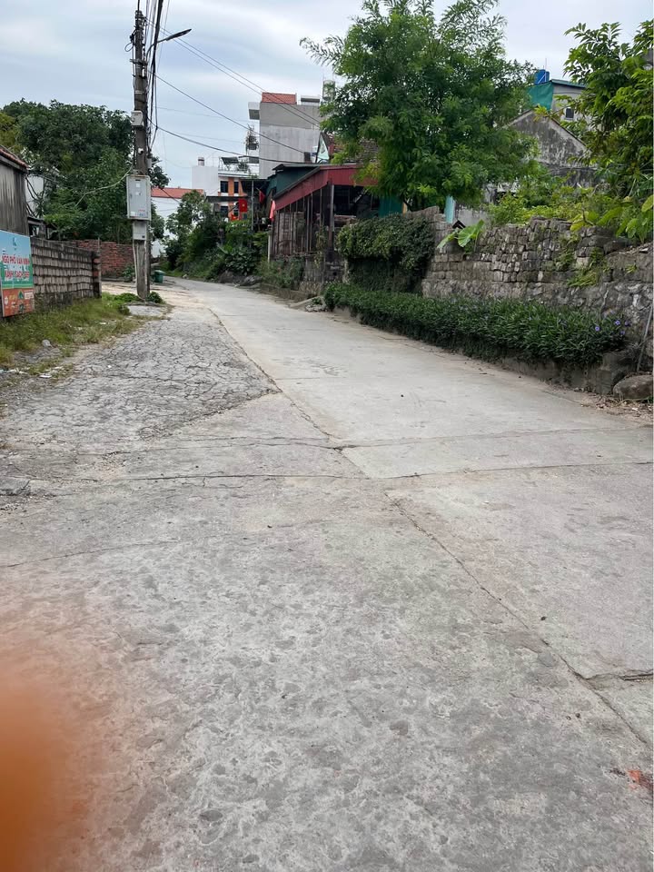 Đất nền Cẩm Thạch 66m² giá chỉ 726 triệu - Cơ hội đầu tư lý tưởng cho gia đình trẻ!